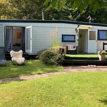 Charmant Chalet Op Een Bospark Op De Veluwe Βίλα Putten Εξωτερικό φωτογραφία