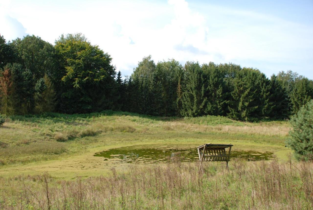 Charmant Chalet Op Een Bospark Op De Veluwe Βίλα Putten Εξωτερικό φωτογραφία